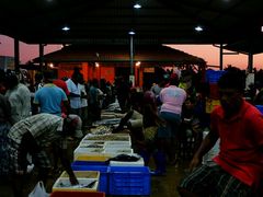 -尼甘布海鲜市场