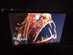 -同济大学四平路校区深海探索馆