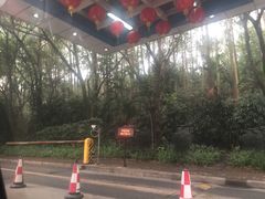 -南国桃园旅游度假区