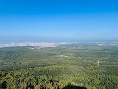 -帽儿山国家森林公园