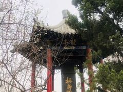 -桃花堤公园
