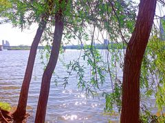 -长白岛森林公园