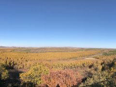 -塞罕坝国家级自然保护区