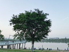 -灞河西岸滨河公园