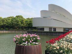 -上海鲜花港