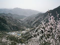 -大岭沟猕猴桃谷风景区