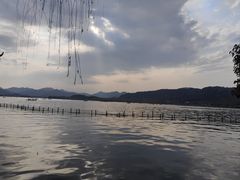 -湖畔居茶楼(湖滨店)