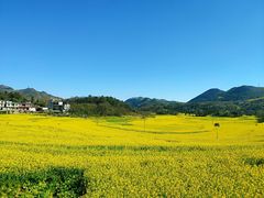 -牛街螺丝田