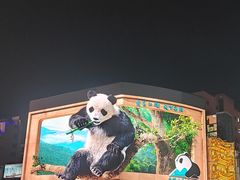 -黄兴南路步行商业街