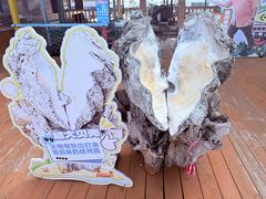 -蓝湾碧波·老字号·疍家非遗海上餐厅