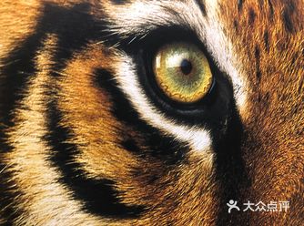 跨越全世界-地理摄影展️