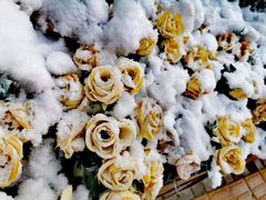 -呷哺呷哺(望京新世界店)