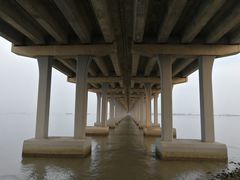 -宝安西湾红树林湿地公园