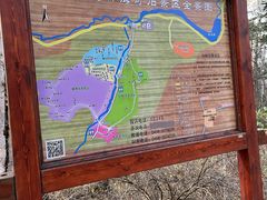 -汤旺河林海奇石景区