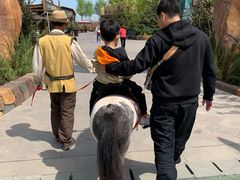 -哈尔滨波塞冬海底世界
