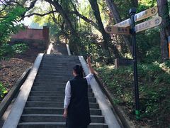 -神光山国家森林公园