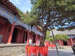 -泰山风景名胜区