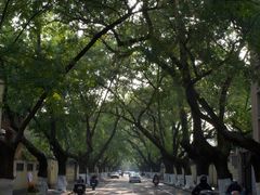 -颐和路民国时期公馆风貌区
