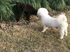 -佳百利宠物(荣乐中路115弄小区店)