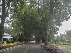 -棒棰岛宾馆景区