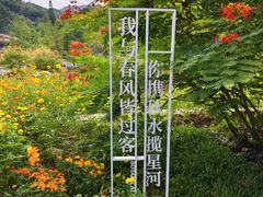 -云溪植物园