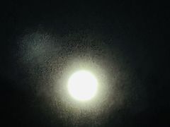 -东天目山风景区