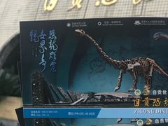 -自贡恐龙博物馆