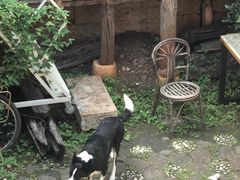 -田德能咖啡博物馆