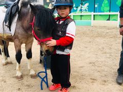 -小小特工运动馆(宝山三邻桥中心)