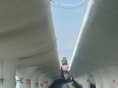 -演武大桥观景平台