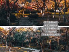 -中国茶叶博物馆(双峰馆区)