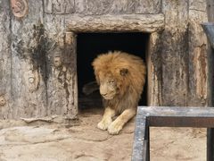 -大连森林动物园