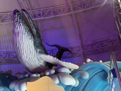 -烟台海昌鲸鲨海洋公园