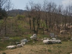 -浮山香苑