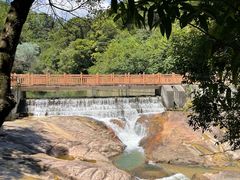 -广州白江湖森林公园