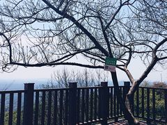 -广州市帽峰山景区