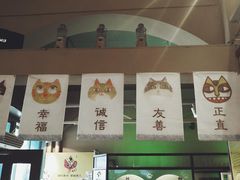 -猫咪博物馆(顶澳仔猫街店)