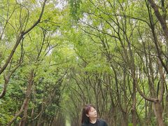 -同里国家湿地公园