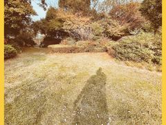 -桃花岛景观公园