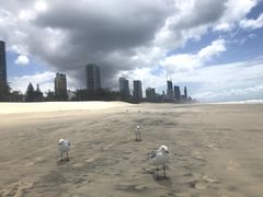 -黄金海岸