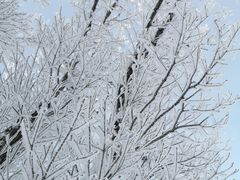 -中旅松花湖滑雪场