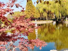 -石家庄市植物园