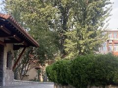 -静园(和平区)