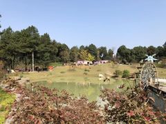 -铁山坪森林公园