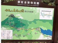 -银瓶嘴森林公园