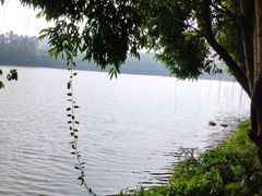 -三水森林公园