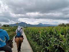 -丽江虎跳峡景区-售票处