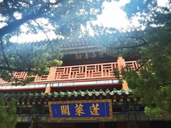 -蓬莱阁景区