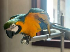 -观桥阁(锦溪店)