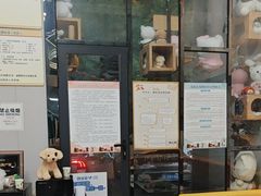 -半岛宠物医院24小时(科华中路店)